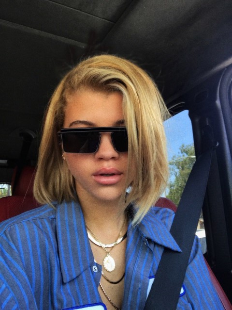 sofia richie net worth 2020 - Ilustrasi 2