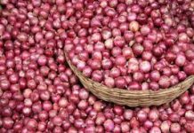 Hike in fuel price raises veggie rates, but onions get cheaper Hike in fuel price raises veggie rates, but onions get cheaper