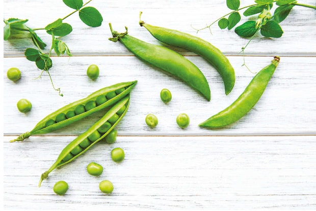 Pea Protein 101: Decoding the myths - Chandigarh City News