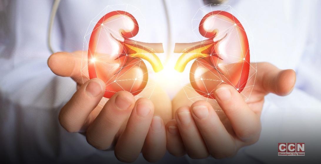 How does Chronic Kidney Disease Diagnosed?