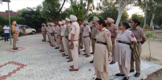 Punjab police launch crackdown against associates of gangsters, 1159 places raided across state Punjab police launch crackdown against associates of gangsters, 1159 places raided across state