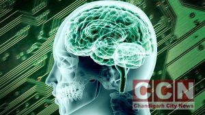 How to Trust Your Brain