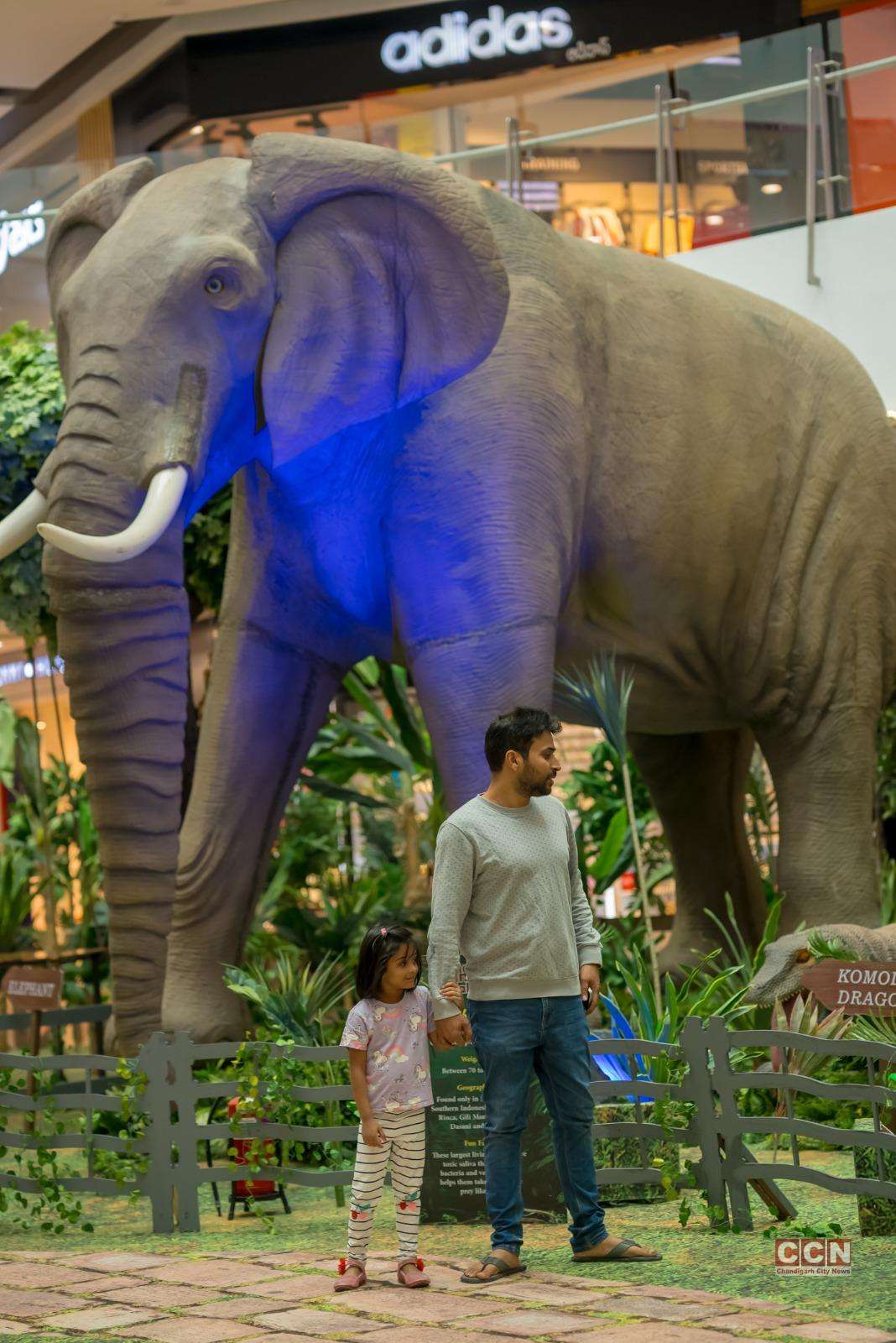 Nexus Elante Mall celebrates its 12th anniversary with ‘The Jungle ...